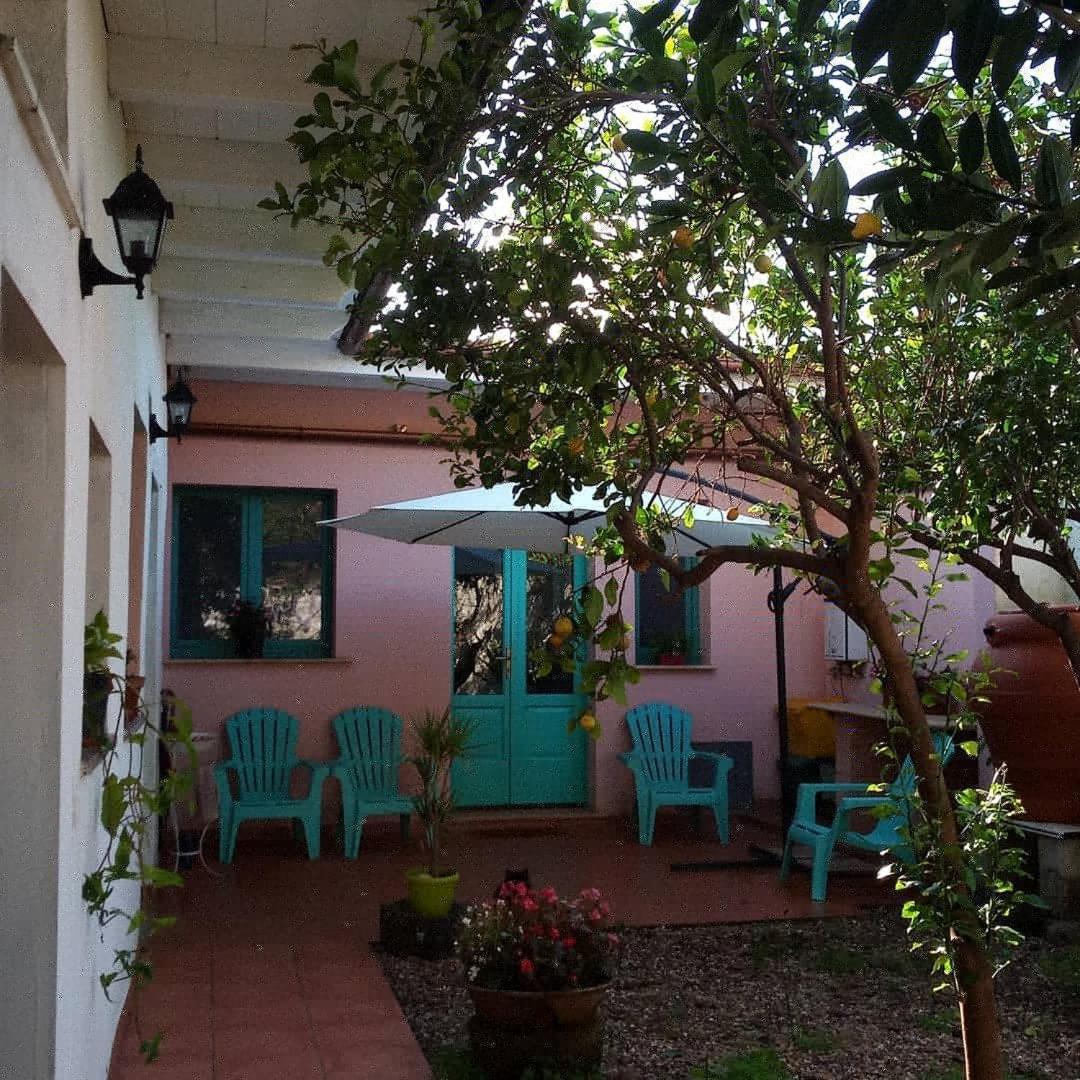 ZeddianiSardinia Eco Vegan House住宿加早餐旅馆 外观 照片