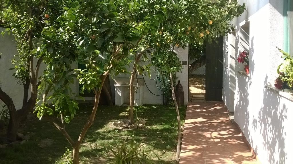ZeddianiSardinia Eco Vegan House住宿加早餐旅馆 外观 照片